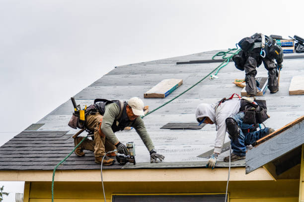 Professional Roofing technician working in Columbus Junction, IA